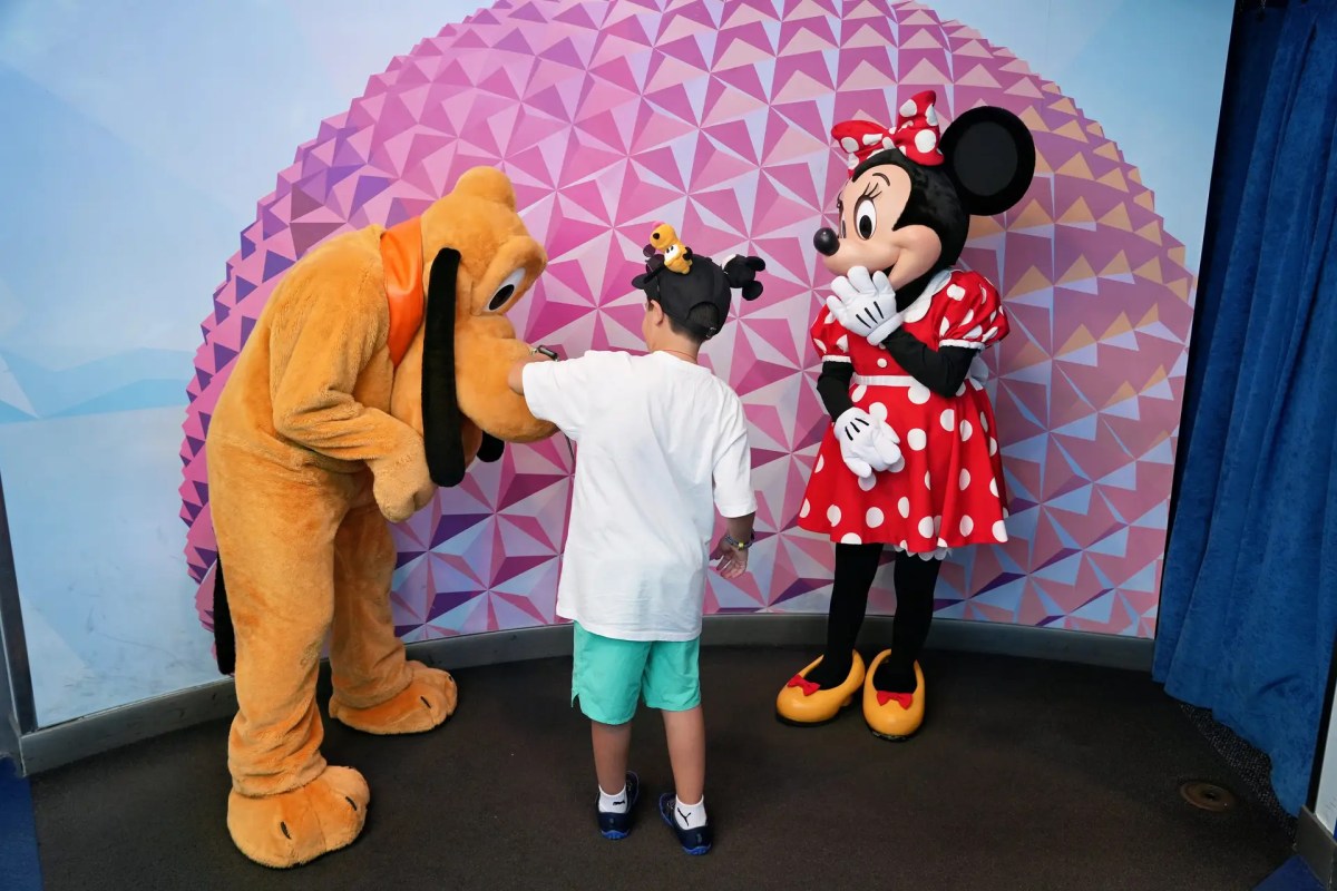 Kid at Disney with Minnie and Pluto