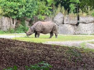 Zoo Miami: A Complete Guide for Families Visiting with Kids whatsapp image 2026 08 05 at 8.23.32 am (5)